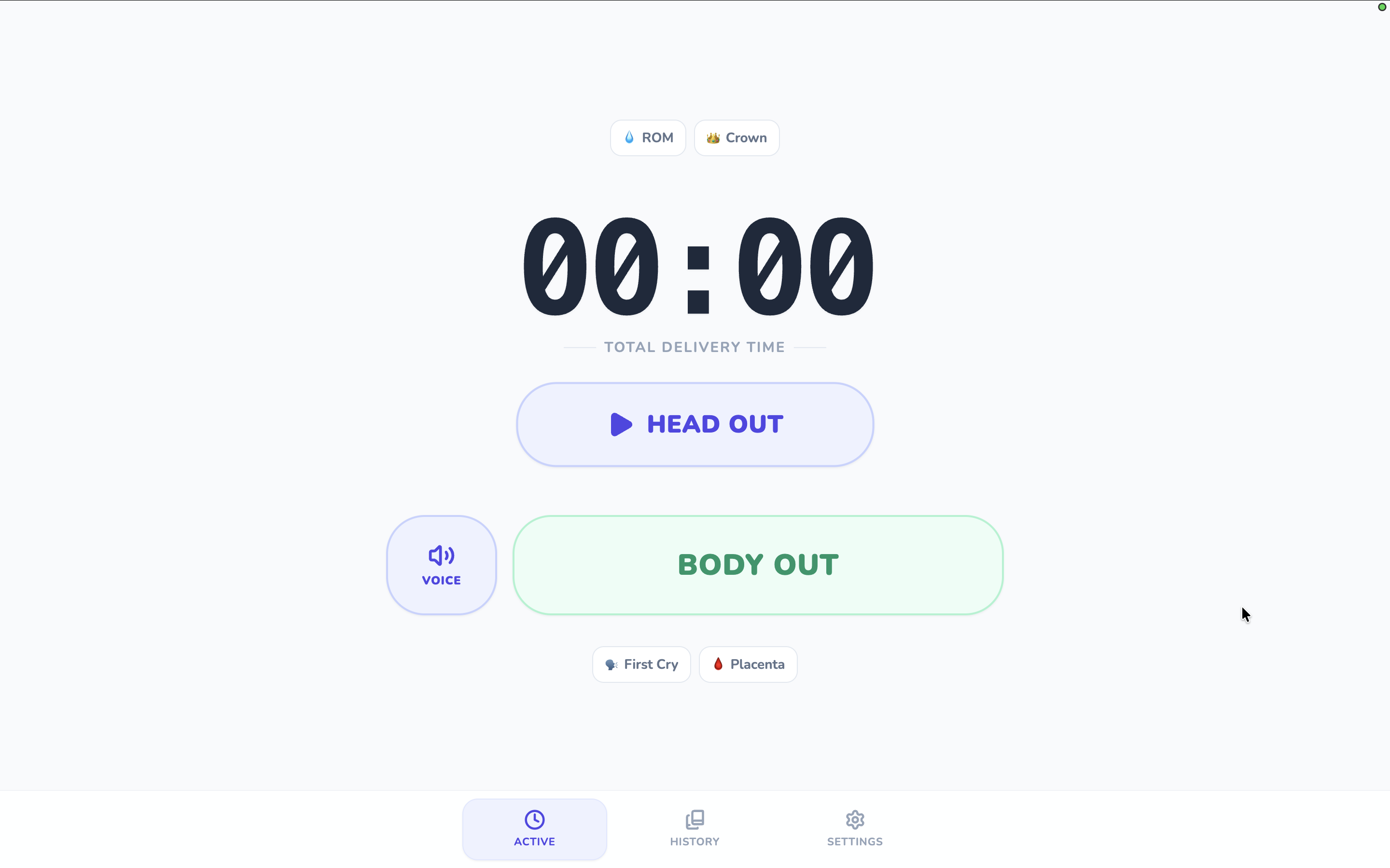 Birth Timer UI Preview